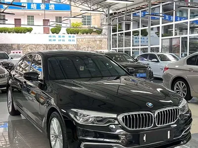 2019 BMW 5 Series New Energy Facelift 530Le Luxury Package, фото 1, лот 10474147