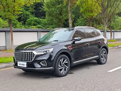 2022 Hongqi HS5 2.0T Smart Connect Premium Edition, фото 1, лот 11073442