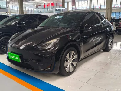 2023 Tesla Model Y Rear-Wheel Drive Edition, фото 1, лот 10369937