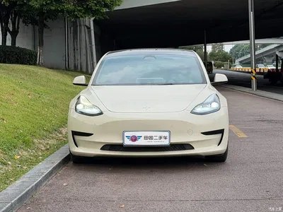 2022 Tesla Model 3 Model Rear-Wheel Drive Version, фото 2, лот 10350853