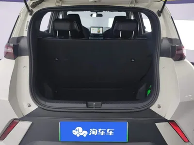 2024 BYD Seagull Glory Edition 305km Vitality Edition, фото 4, лот 10246147