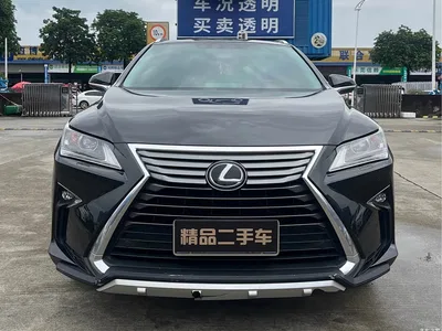 2016 Lexus RX 300 2WD Elite Edition China VI, фото 2, лот 10315431