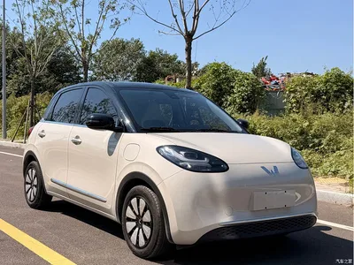 2023 Wuling Motors Wuling Bingo 203km Comfort Version, фото 3, лот 10357889