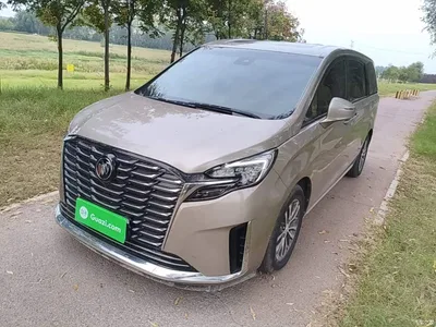 2023 Buick GL8 ES Landmaster Exclusive, фото 1, лот 11096106