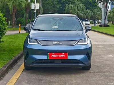 2025 BYD Dolphin Smart Drive Edition 410km Fashion Version, фото 2, лот 10629811
