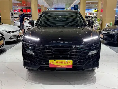 2023 Jetour Dasheng 1.5T DCT Starlight PRO, фото 2, лот 11242871