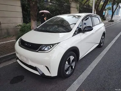 2023 BYD Dolphin 420km Freedom Edition, фото 1, лот 11074624