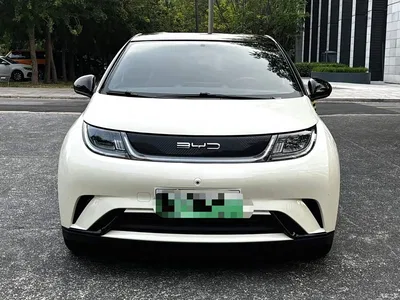 2023 BYD Dolphin 420km Freedom Edition, фото 2, лот 11131706