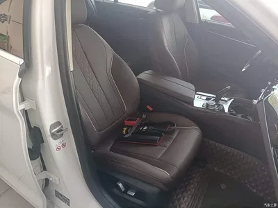 2022 BMW 5 Series Facelift 525Li Luxury Package, фото 4, лот 10444503