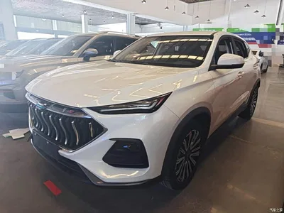 2021 Changan Oshan Changan Oushang X5 1.5T DCT Luxury, фото 1, лот 11162638