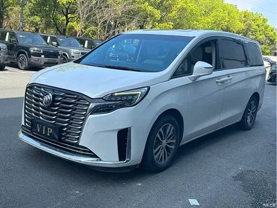 2020 Buick GL8 Model ES Landglory 653T Comfort, фото 1, лот 10257923