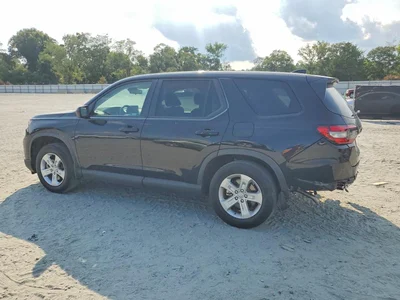 2024 HONDA PILOT LX, фото 2, лот 10701779