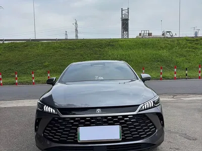 2025 BYD Qin PLUS DM-i Smart Drive Edition 120KM Surpassing Type, фото 2, лот 11132734