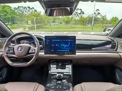 2024 BYD Han DM-i Glory Edition 121KM Honor, фото 4, лот 11567769