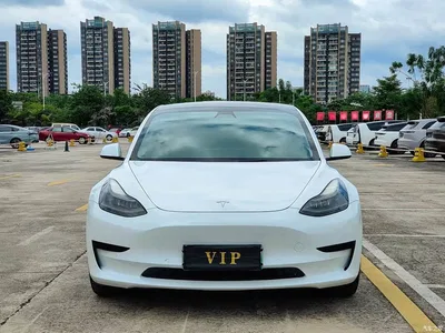 2021 Tesla Model 3 Standard Range Rear-Wheel Drive Upgrade, фото 2, лот 10351668