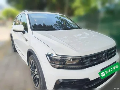 2019 Volkswagen Tiguan L 330TSI Automatic 2WD R-Line Flagship Edition China VI, фото 3, лот 11448551