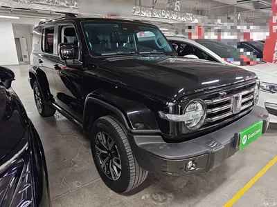 2021 Tank 300 Urban Edition 2.0T Stylish, фото 4, лот 11081072