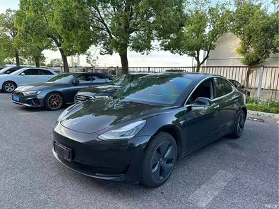 2020 Tesla Model 3 Standard Range Rear-Wheel Drive Upgrade, фото 2, лот 10346087