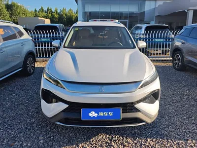 2025 BYD Song Pro New Energy 2nd Gen DM-i 75KM Leading Type, фото 2, лот 10276859