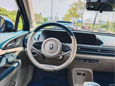 2023 Ora Good Cat 401km Standard Range Comfort LFP, фото 4, лот 10906745
