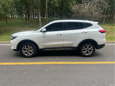2021 Haval H6 National Trend Edition 1.5GDIT Automatic Champion Edition, фото 4, лот 11016546