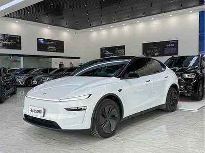 2025 Tesla Model Y Rear-Wheel Drive, фото 1, лот 10658392