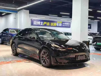 2022 Tesla Model 3 Model Rear-Wheel Drive Version, фото 3, лот 10357044