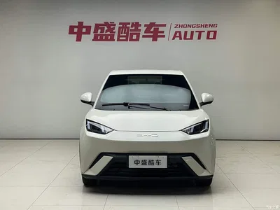 2024 BYD Seagull Glory Edition 305km Vitality Edition, фото 2, лот 10245402
