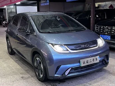 2024 BYD Dolphin Glory Edition 420km Freedom Edition, фото 3, лот 10767883