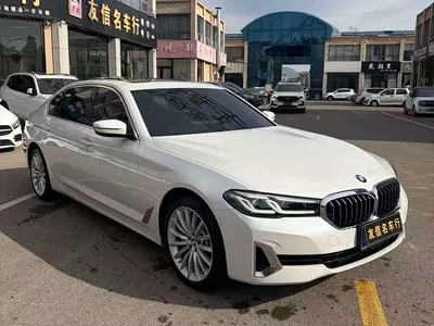 2021 BMW 5 Series Facelift 530Li Premium Luxury Package, фото 3, лот 11187206
