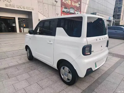 2023 Geely Galaxy Panda Mini 200km Lively Bear, фото 3, лот 11137478