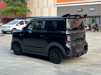 2025 Geely Galaxy Panda Model Year 210km Panda Kart, фото 3, лот 10428705