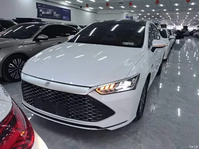 2023 BYD Qin PLUS Champion Edition DM-i 55KM Leading, фото 3, лот 11501924