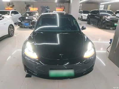 2022 Tesla Model 3 Model Rear-Wheel Drive Version, фото 3, лот 11570253