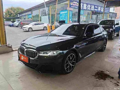 2021 BMW 5 Series 530Li Premium M Sport Package, фото 1, лот 10886614
