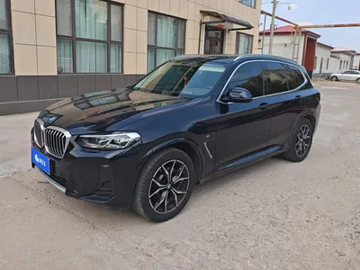 2022 BMW X3 xDrive25i M Sport Package, фото 1, лот 10460653