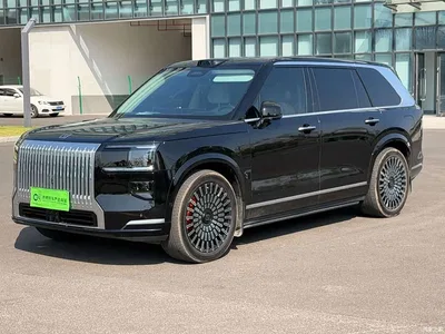 2025 ZEEKR 9X Model Standard, фото 1, лот 11087834