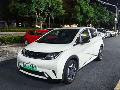 2021 BYD Dolphin 405km Freedom Edition, фото 1, лот 11564736
