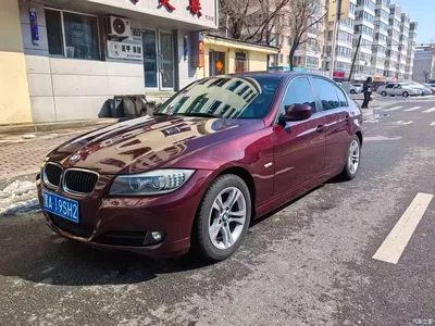 2010 BMW 3 Series (Import) 320i Luxury, фото 1, лот 10473227