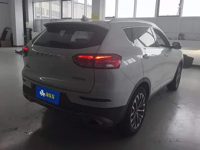 2020 Haval H6 1.5GDIT Automatic Platinum Champion Edition, фото 3, лот 11204806