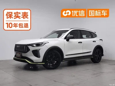2021 Haval Chitu 1.5T Silver Rabbit Turbo Edition, фото 1, лот 11178351