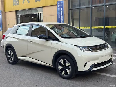2025 BYD Dolphin 420km Freedom Edition, фото 1, лот 10257596