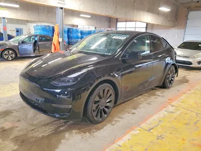 2023 TESLA MODEL Y, фото 1, лот 10853809