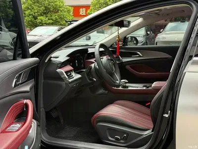 2025 Hongqi H5 1.5T DCT Flag Rhythm 500,000 Units Memorial Edition, фото 4, лот 10288433