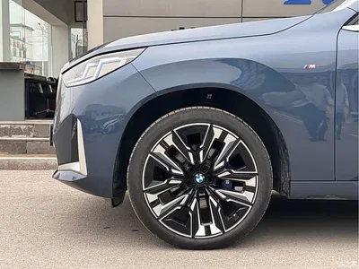 2025 BMW X3 xDrive30L Premium Model M Sport Black Package, фото 3, лот 10460951