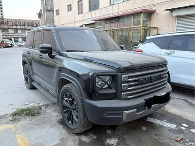 2024 Haval Meng Long NEV Hi4 145 Cross-country Edition, фото 3, лот 11089664