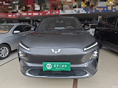 2024 Wuling Motors Wuling Xingguang S 130km Flagship Model, фото 3, лот 10836018