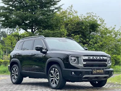 2024 Haval Big Dog 1.5T DCT Border Collie Edition, фото 3, лот 10361762