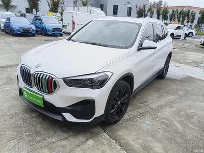 2021 BMW X1 Facelift sDrive20Li Fashion, фото 1, лот 10807727