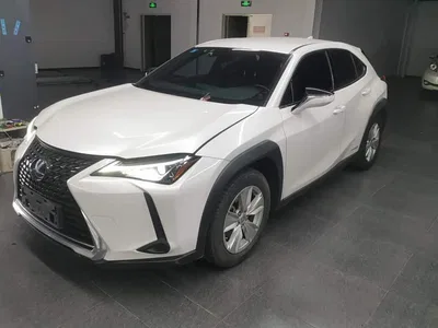 2020 Lexus UX 260h Explore Cool Edition, фото 1, лот 10316228